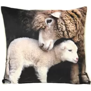 Image of Riva Home Sherpa Lamb Cushion Cover (50x50cm) (Multi)