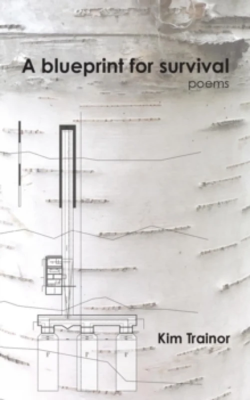 Image of A Blueprint For Survival Paperback / softback