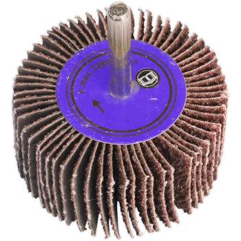 Image of Sealey Flap Wheel 25mm 20mm 80g