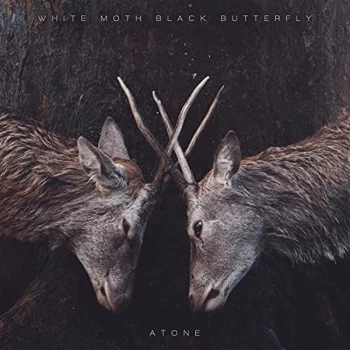 Image of White Moth Black Butterfly - Atone Vinyl