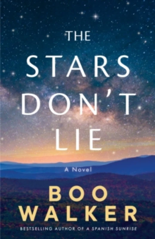 Image of The Stars Don't Lie : A Novel Paperback / softback
