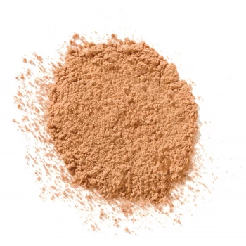 Image of Elizabeth Arden High Performance Blurring Loose Powder Medium Deep Women