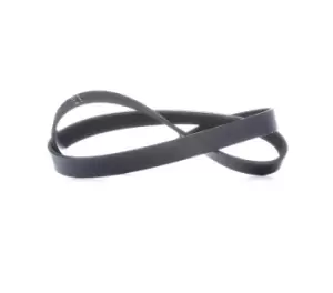 Image of INA V-ribbed belt FB 6PK1070 Serpentine belt,Auxiliary belt VW,AUDI,BMW,Golf V Schragheck (1K1),Passat Variant (3C5),GOLF VI (5K1)