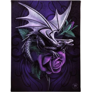 Image of Small Dragon Beauty Canvas Picture by Anne Stokes