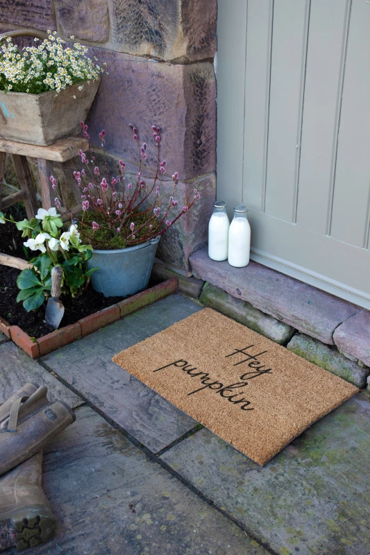 Image of Artsy Mats Hey Pumpkin Doormat Beige unisex