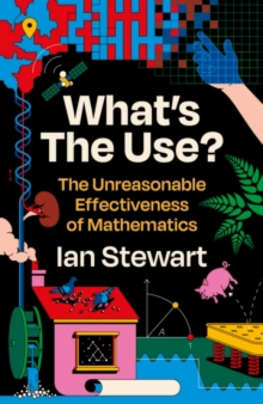 Image of What's the Use? The Unreasonable Effectiveness of Mathematics Paperback / softback