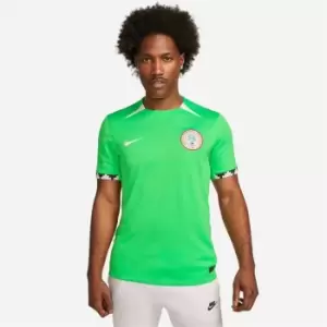 Image of Nike Nigeria Home Shirt 2023 Adults - Green