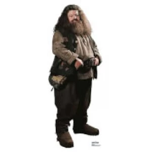 Image of Harry Potter - Hagrid Mini Cardboard Cut Out