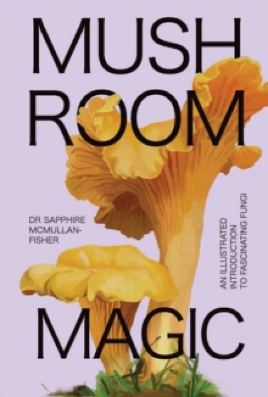 Image of Mushroom Magic : An illustrated introduction to fascinating fungi Hardback