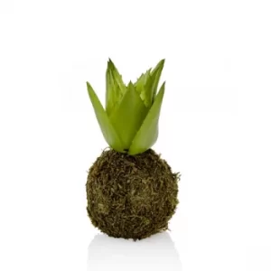 Image of CCK0117 Green Succulent Artificial Plant