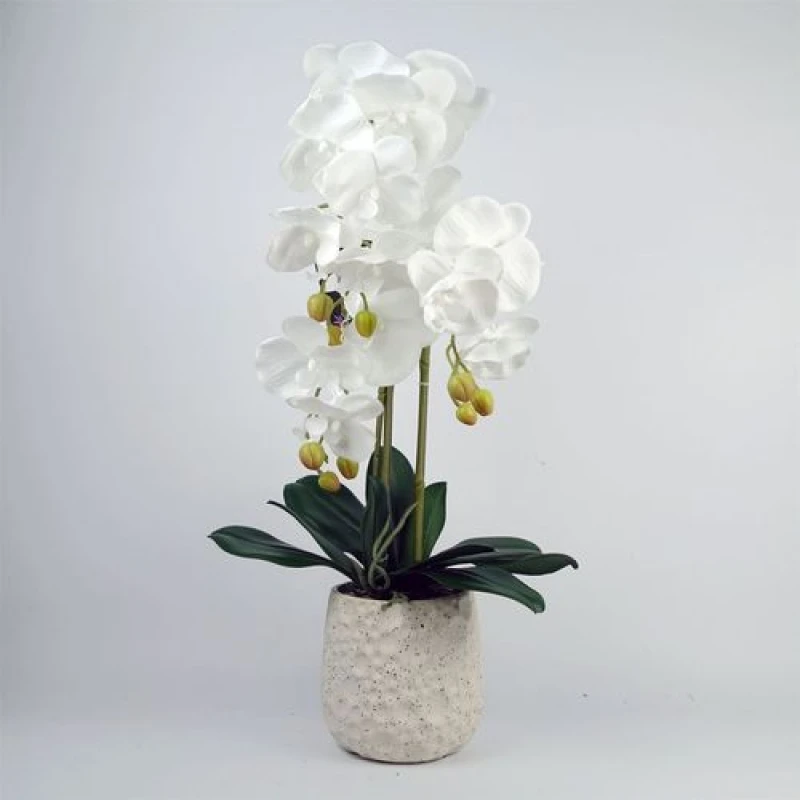 Image of Leaf 60cm Pure White Orchid with Ceramic Bubble Planter Green