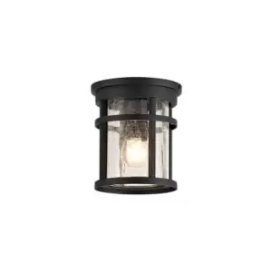 Image of Luminosa Lighting - Ceiling, 1 x E27, Black, Clear Crackled Glass, IP54