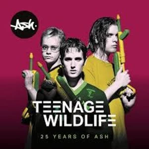Image of Ash - Teenage Wildlife: 25 Years Of Ash Vinyl
