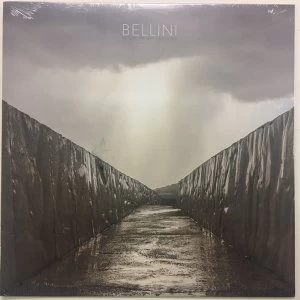 Image of Bellini - Before The Day Has Gone Vinyl