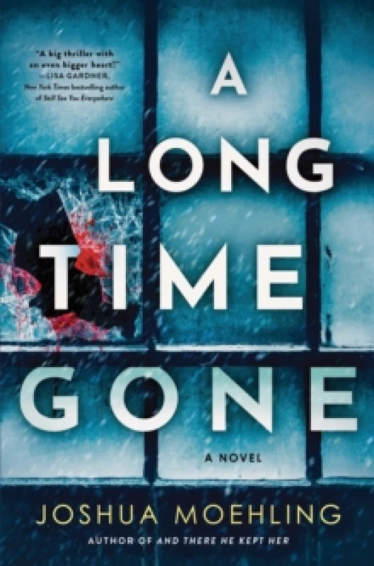 Image of A Long Time Gone : A Novel Hardback