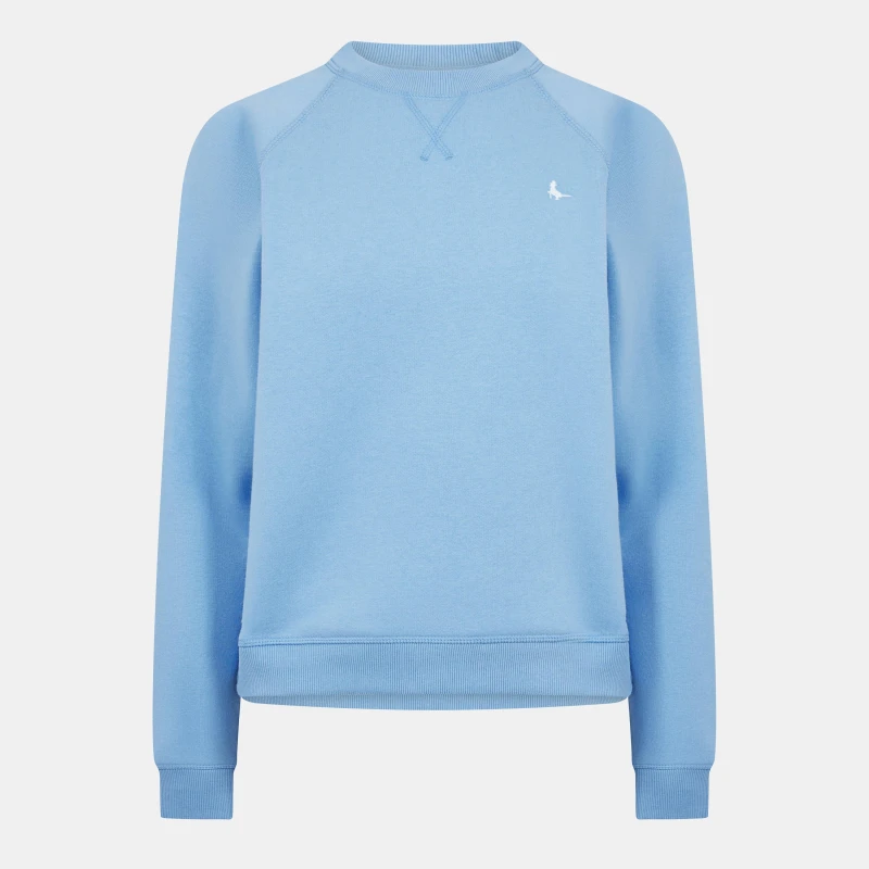 Image of Jack Wills Astbury Raglan Crew Sweatshirt - Blue Blue 4