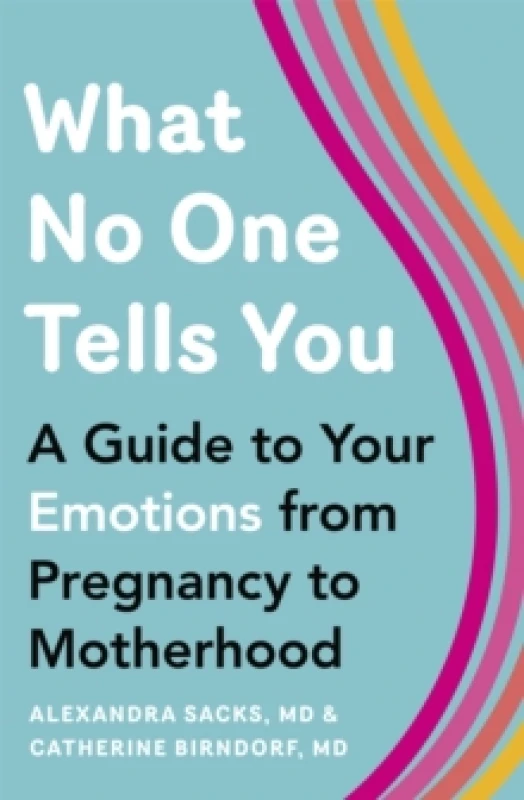 Image of What No One Tells You : A Guide to Your Emotions from Pregnancy to Motherhood Paperback / softback