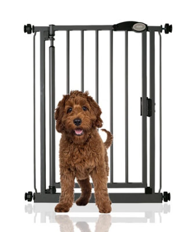 Image of Bettacare Auto Close Pet Gate, 68.5Cm - 75Cm, Slate Grey, Narrow, Narrow Pressure Fit Stair Gate For Dog & Puppy