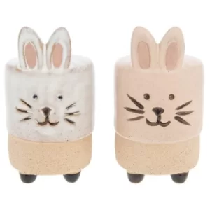 Image of Pot Pals Salt & Pepper Bunnies