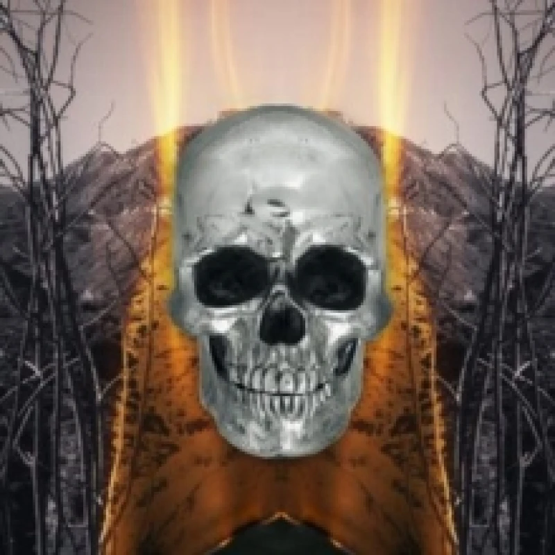 Image of Dark Side of Everything CD / Album