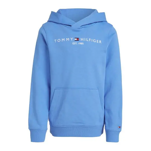 Image of Tommy Hilfiger Boys Essential Hoodie - Blue Spell, Blue, Size 8 Years Blue VSUD5 Unisex 8 YEARS