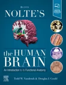 Image of Nolte's The Human Brain : An Introduction to its Functional Anatomy