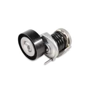 Image of INA Tensioner Lever, v-ribbed belt LAND ROVER 534 0681 10 1342047,4H2Q6A228BB,PQG500250