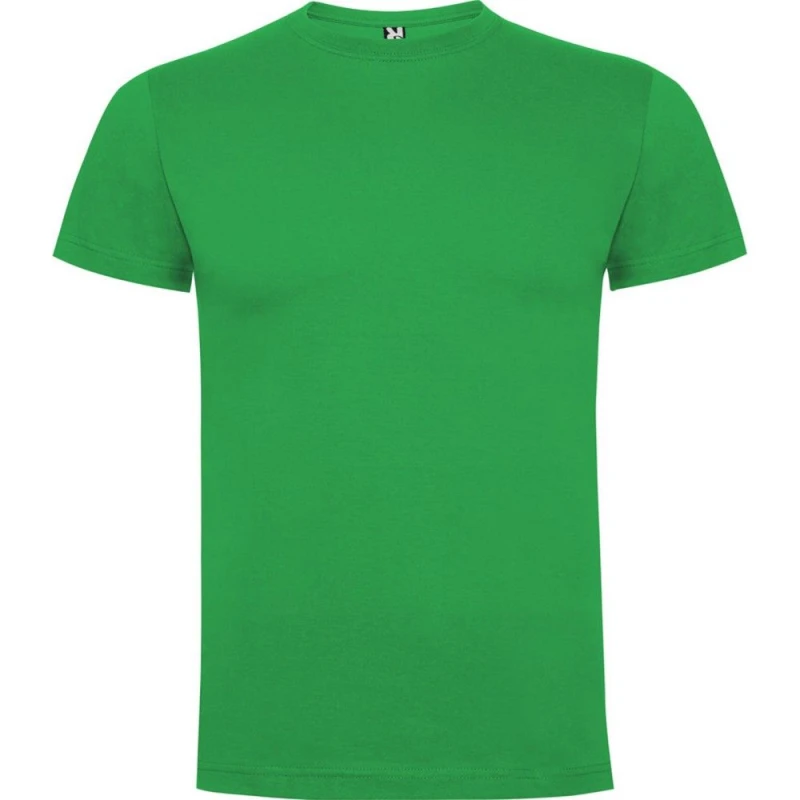 Image of Roly Dogo boys's Children's T shirt in Green