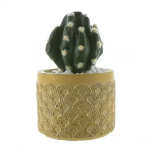 Image of Round Cactus in Cement Pot Yellow 12cm