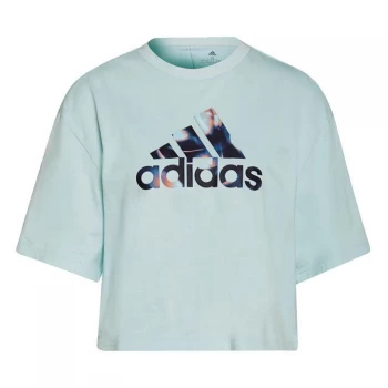 Image of adidas You for You Cropped Logo T-Shirt Womens - Halo Mint
