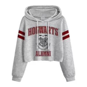 Image of Harry Potter Womens/Ladies Hogwarts Alumni Crop Hoodie (XL) (Grey Heather)