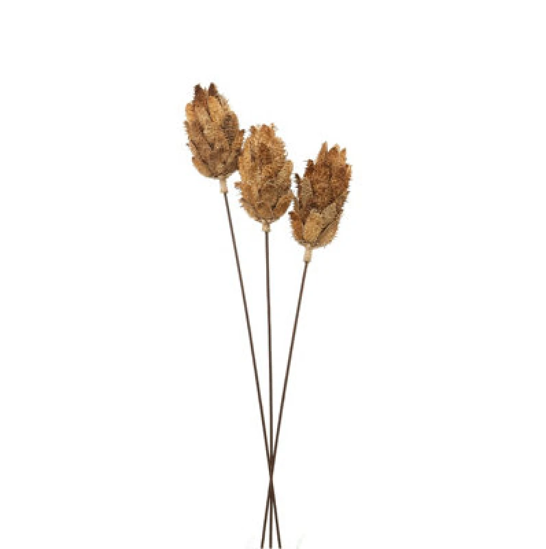 Image of Bouquet Of Dried Protea