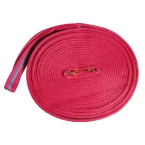 Image of Kincade Two Tone Padded Lunge Rein - Pink