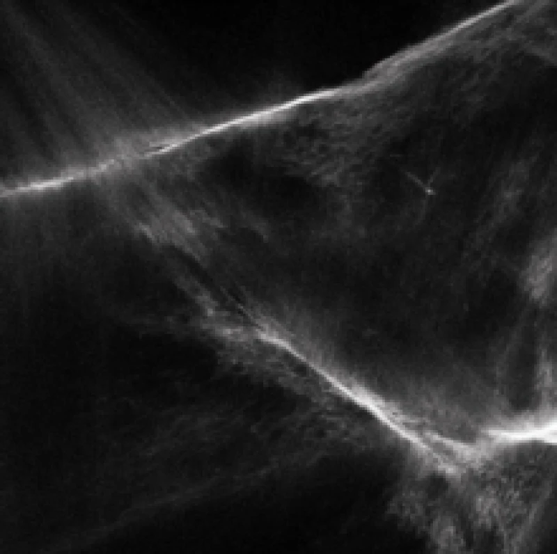 Image of Final Light Vinyl