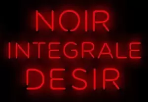 Image of Integrale by Noir Desir CD Album