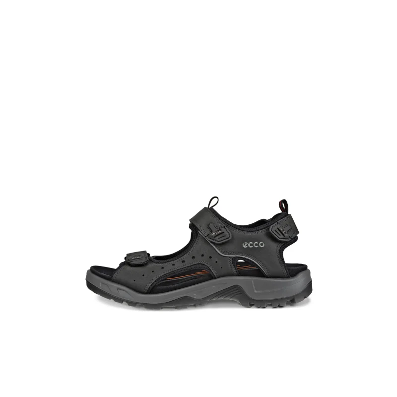 Image of Hiking sandals Ecco Noir Male 48