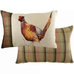 Image of Evans Lichfield Hunter Pheasant Tartan Panel Cushion Cover, Multi, 40 x 60 Cm