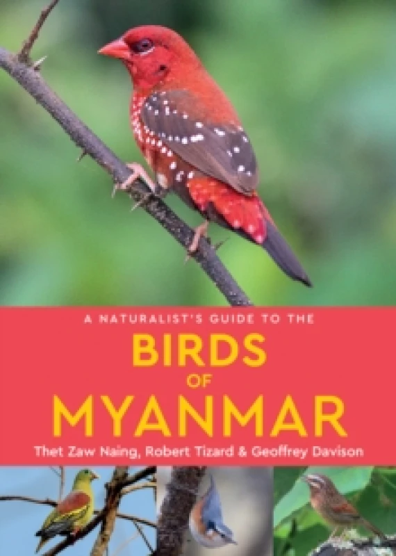 Image of A Naturalist's Guide to the Birds of Myanmar Paperback / softback
