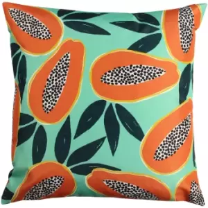 Image of Papaya Outdoor Cushion Aqua