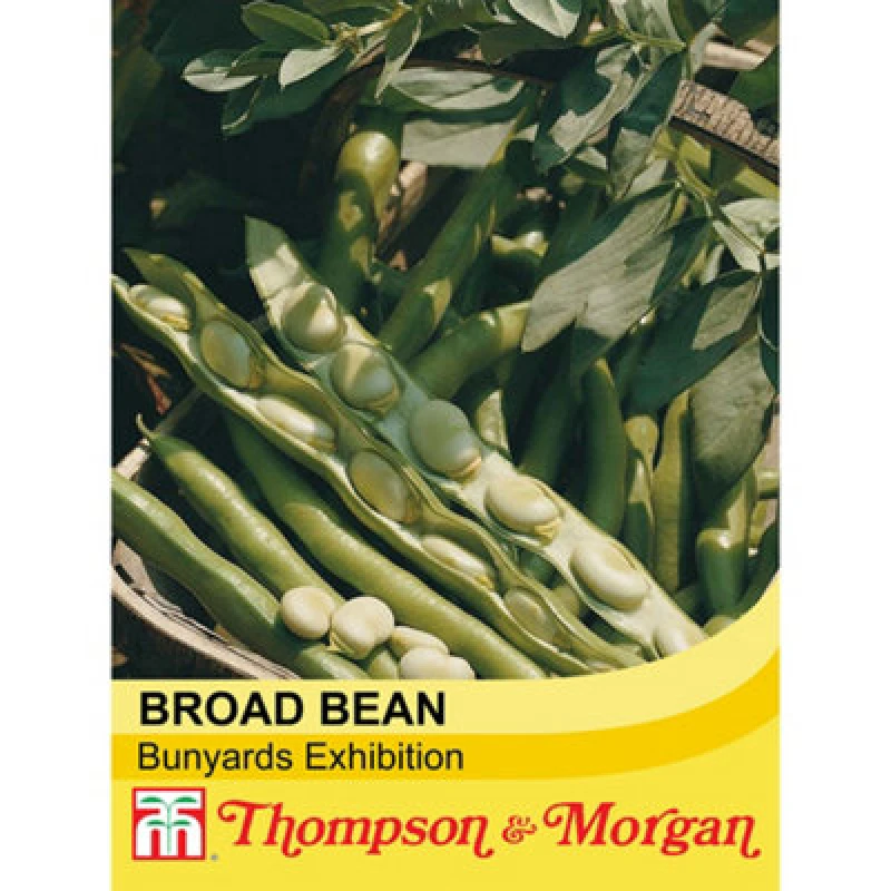 Image of Thompson & Morgan Broad Bean Bunyards Exhibition 1 Seed Packet (30 Seeds)
