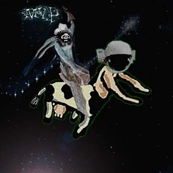 Image of Matt Valentine - Preserves CD