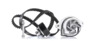 Image of INA Water Pump + Timing Belt Kit VW,SEAT 530 0166 31 030109119AB,030109119H,030109119M 030109119S,030109243D,030109243F,030109243J,030109243K
