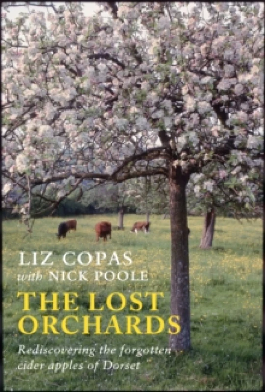 Image of The Lost Orchards : Rediscovering the forgotten apple varieties of Dorset Paperback / softback