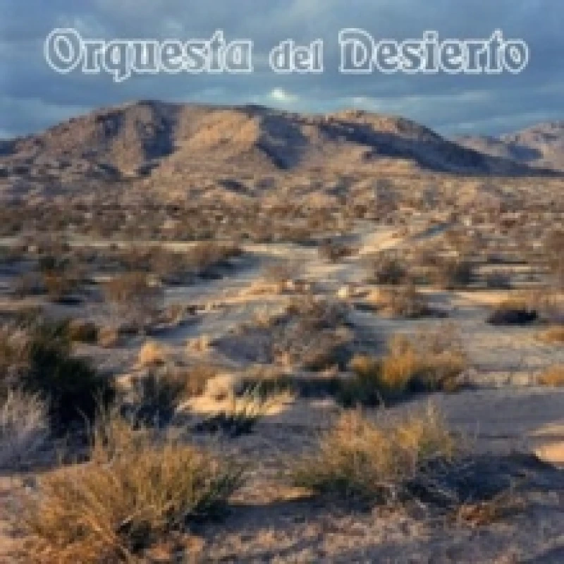 Image of Orquesta del desierto Vinyl
