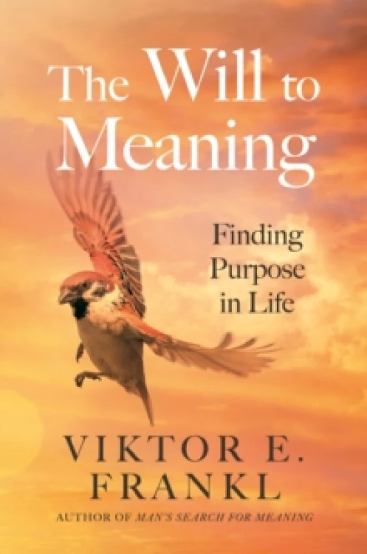 Image of The Will to Meaning : Finding Purpose in Life Paperback / softback