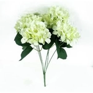 Image of White Hydrangea Bunch