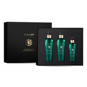 Image of T-LAB Professional Natural Lifting Haircare Gift Set