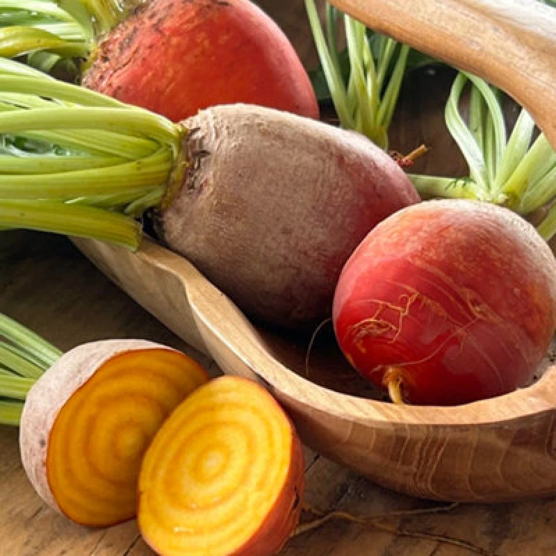 Image of Thompson & Morgan Beetroot Golden Eye 1 Seed Packet