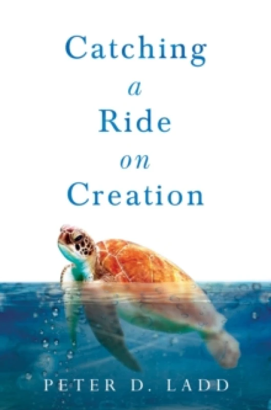Image of Catching a Ride on Creation Paperback / softback