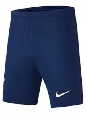 Image of Nike Tottenham Youth 21/22 Home Shorts, Blue, Size S